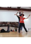 DANSE biodynamique (en suspens)